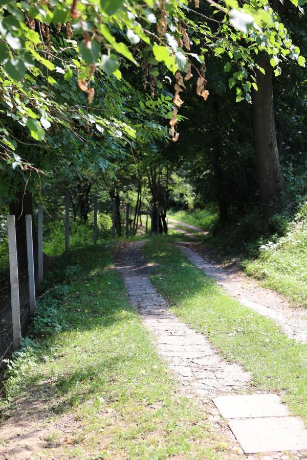 Agroturystyka U Babci Czchow Exterior photo
